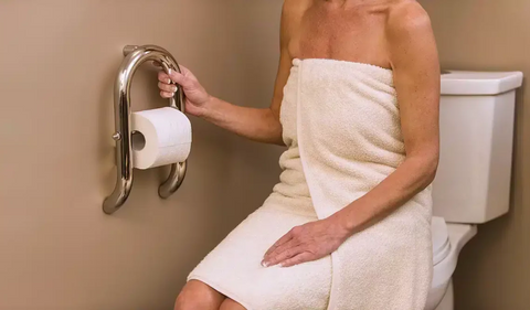 Invisia Toilet Roll Holder with Integrated Support Rail