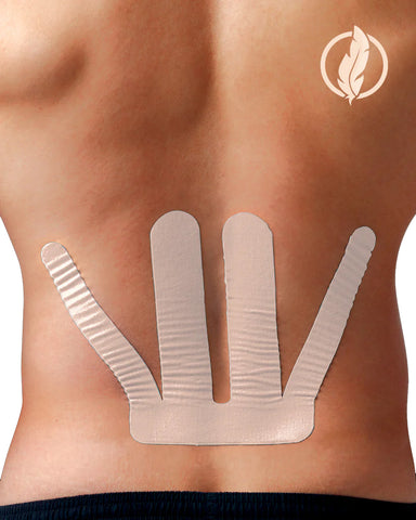 Spidertech Pro Lower Back