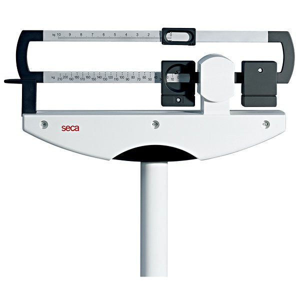 Seca Beam Scale