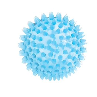 Spikey/Reflex Ball - 9cm Firm