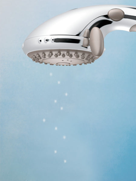 Moen Chrome Handheld Shower