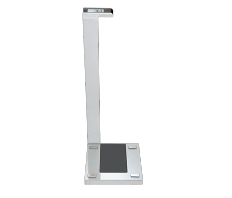 Seca Supra Pedestal Scale