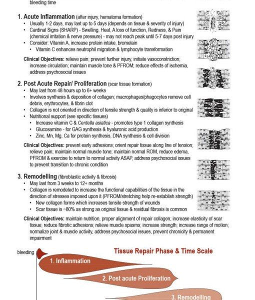 Orthopedic Conditions Textbook